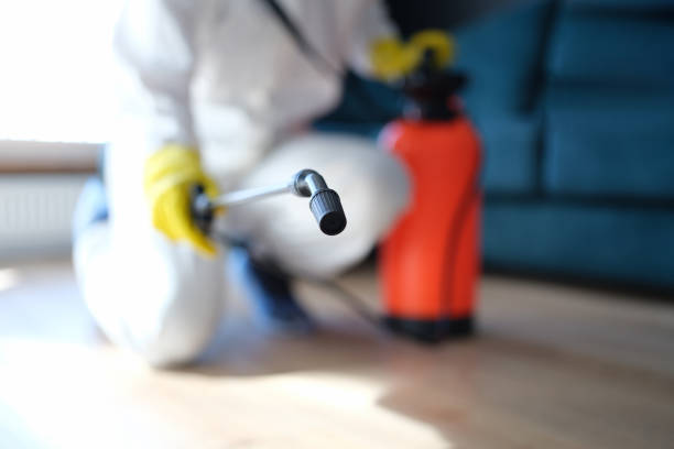 Mold Remediation for Vacation Homes in Page, AZ